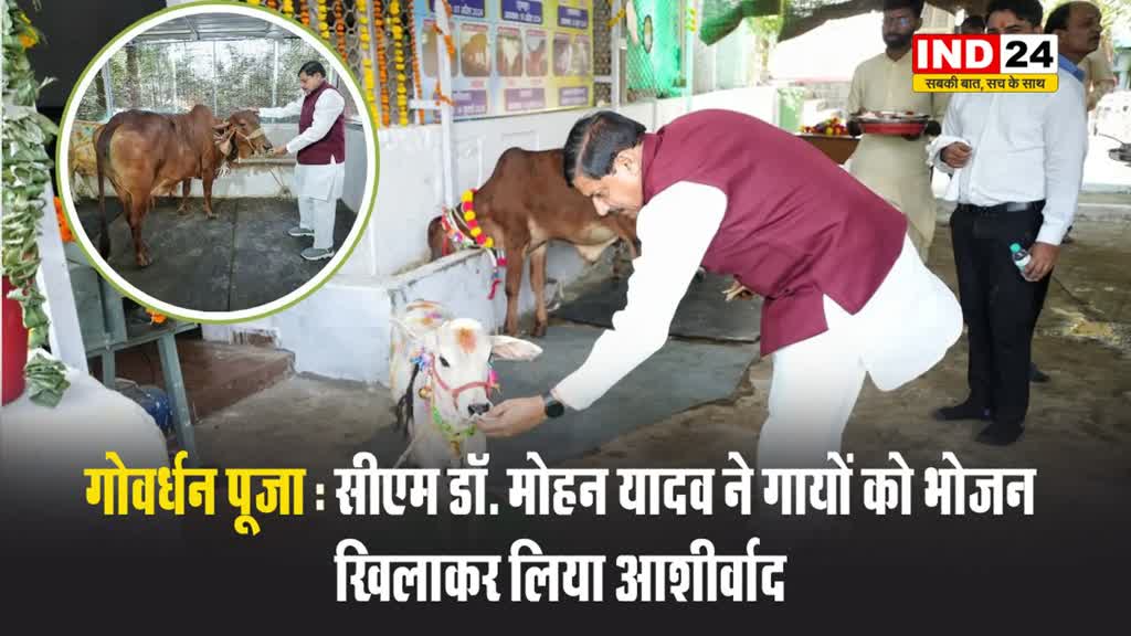गोवर्धन पूजा : सीएम डॉ. मोहन यादव ने गायों को भोजन खिलाकर लिया आशीर्वाद