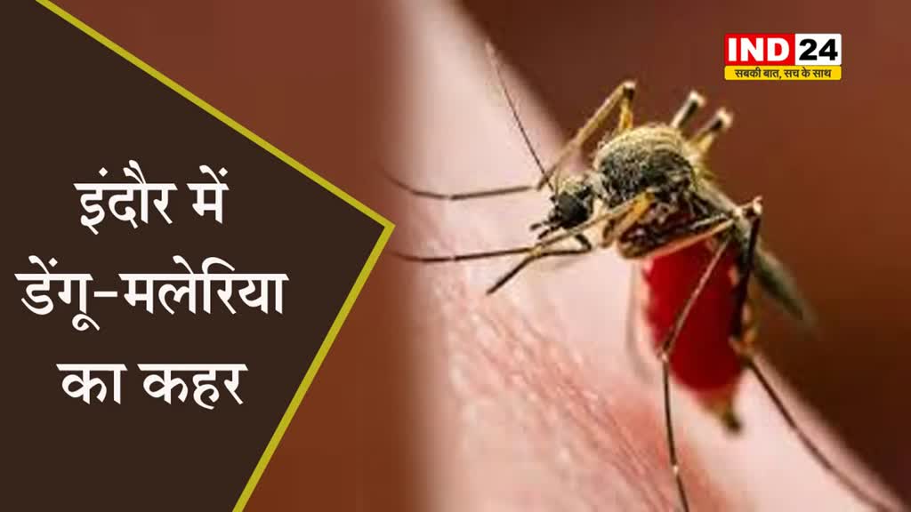 इंदौर में डेंगू-मलेरिया का कहर, जिले में अबतक 443 मामले आए सामने