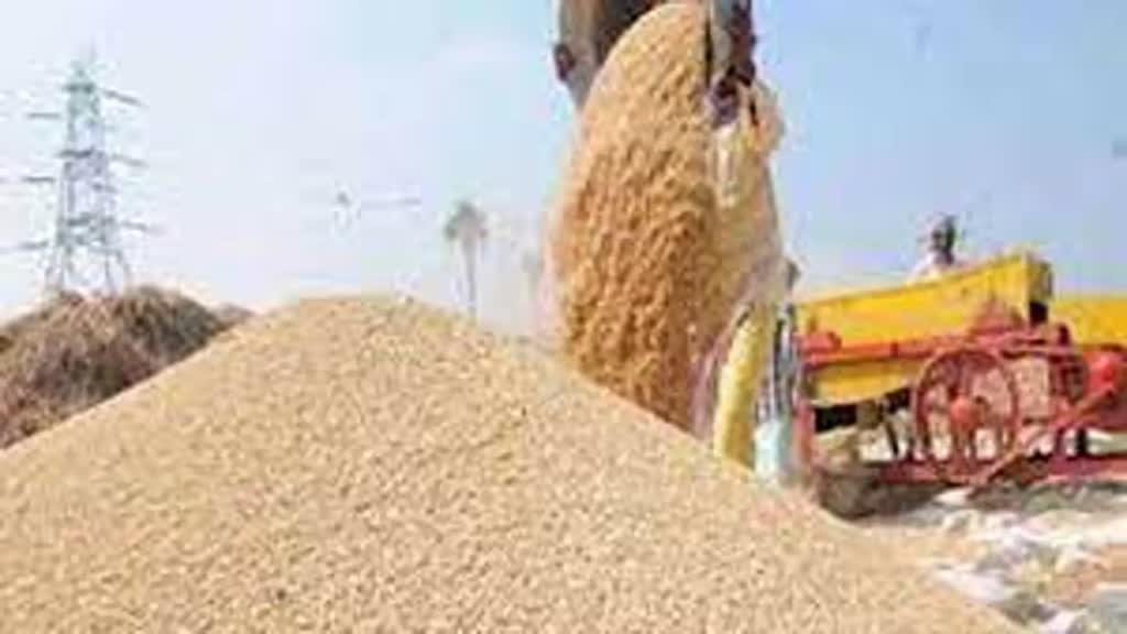 समर्थन मूल्य पर धान बेचने के लिए अब किसान 15 अक्टूबर तक करा सकेंगे पंजीयन