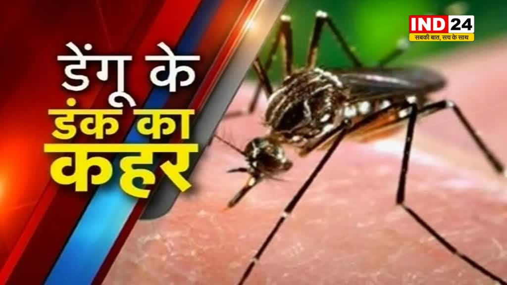 भोपाल में डेंगू का कहर: 15 दिनों में मिले 26 मरीज पॉजिटिव...