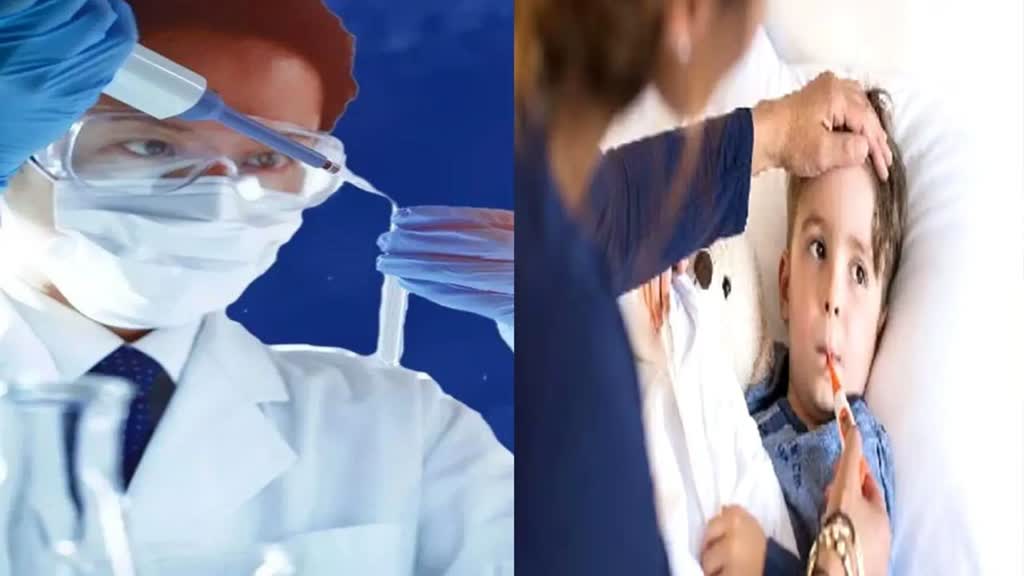 इन्फ्लूएंजा वायरस को लेकर अलर्ट, एमपी में विदेश से आने वाले अंतरराष्ट्रीय यात्रियों का होगा RTPCR टेस्ट