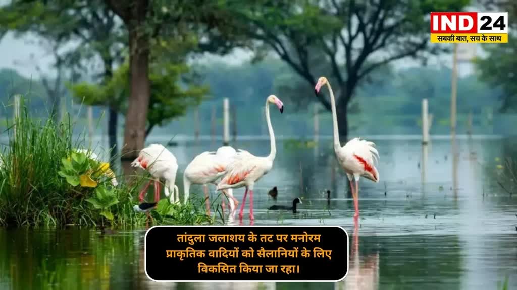 CG NEWS : सैलानियों को मिलेगी ’तांदुला इको फ्रेंडली टूरिज्म पार्क’ की सौगात....