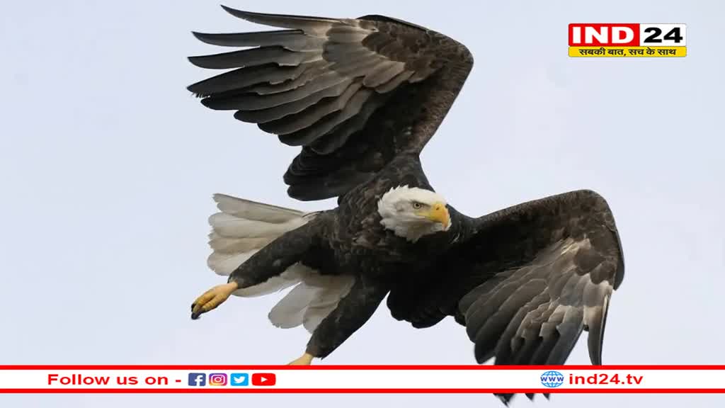 नए राष्ट्रपति के साथ ही अमेरिका को मिला नया 