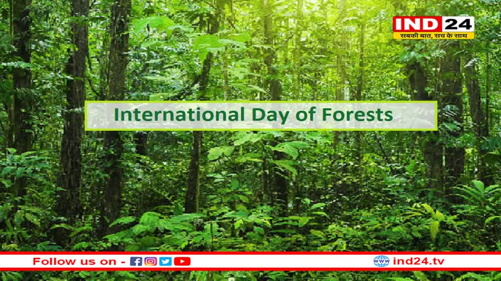 विश्व वानिकी दिवस पर हम वनों की रक्षा और वन संपदा के संरक्षण का संकल्प लें: CM यादव