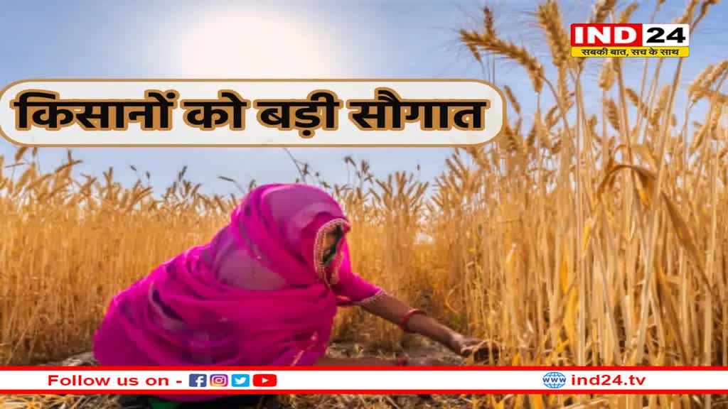MSP की दर में शानदार बढ़ोत्तरी, किसानों को मिलेगा फायदा