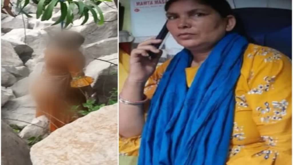 CG NEWS : पेड़ पर फांसी के फंदे से लटका मिला शव, हत्या या आत्महत्या ? 