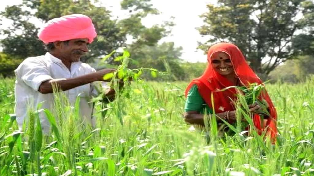 PM Kisan Yojana: किसानों को इस दिन मिलेंगे 13वीं किस्त के पैसे