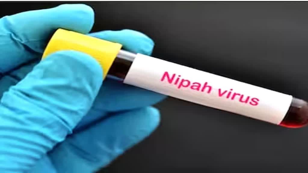 केरल के कोझिकोड में निपाह का कहर, दो दिन बंद रहेंगे स्कूल, मरीजों को घर के अंदर रहने की सलाह