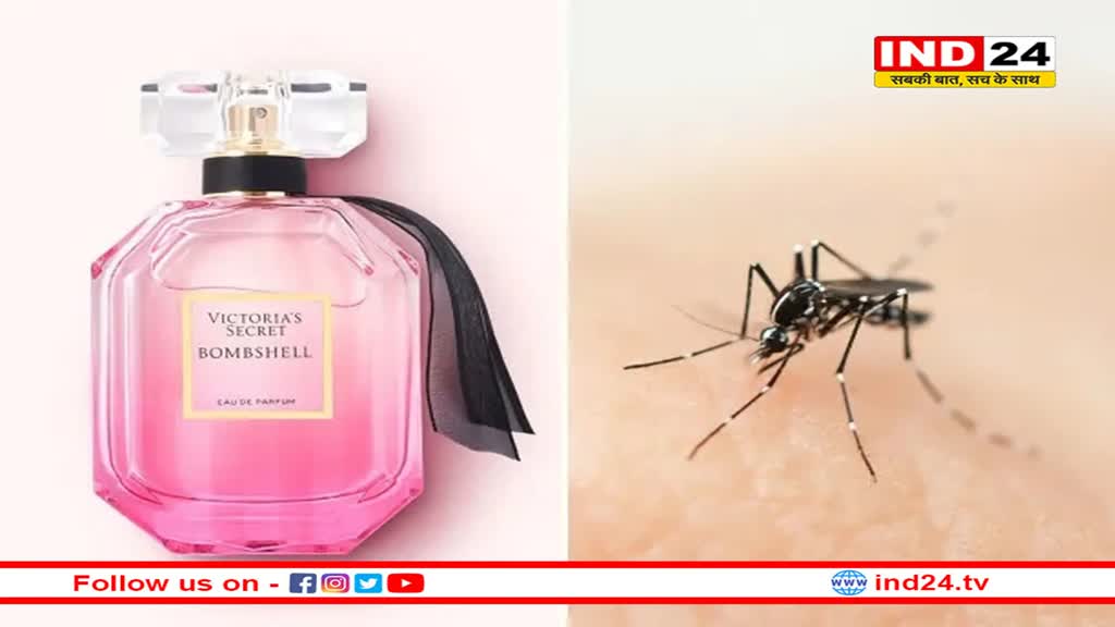 बढ़ते मॉनसून में मच्छरों से बचने के तरीके