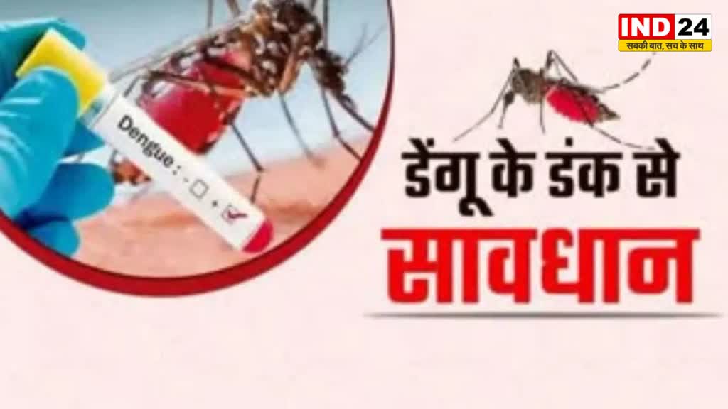 BHOPAL NEWS: भोपाल वासियों को डेंगू के डंक से नहीं राहत, लगातार बढ़ रही मरीजों की संख्या