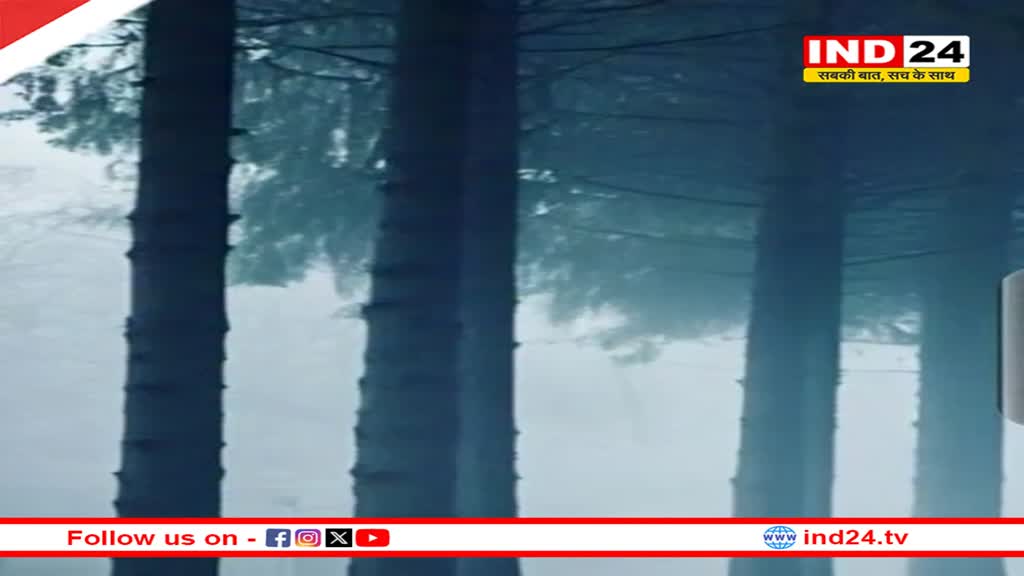 एमपी में अगले 24 घंटों में कड़ाके की ठंड, रीवा-सतना में घने कोहरे से दृश्यता शून्य