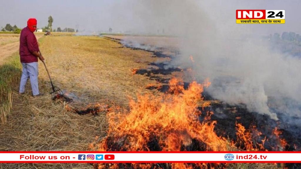इंदौर में पराली जलाने से बढ़ा प्रदूषण, केंद्र से जारी हुए खतरनाक आंकड़े