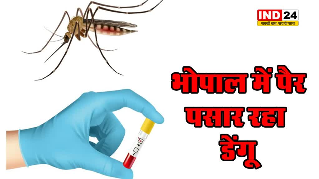 भोपाल में डेंगू का कहर : एक सप्ताह में 30 नए मरीज आए सामने...