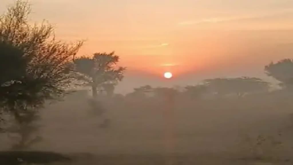 Rajasthan Weather Update: प्रदेश के 7 जिलों में 19 जनवरी तक के लिए जारी हुआ येलो अलर्ट, माउंट आबू में दूसरे दिन भी पारा माइनस में 