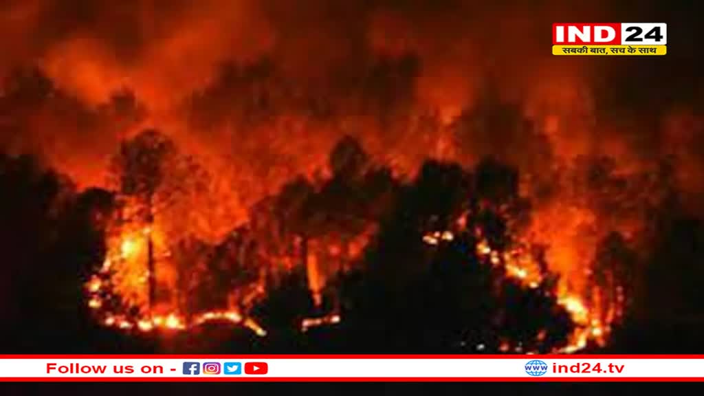 उत्तराखंड में जंगल की आग में गंभीर रूप से झुलसा ग्रामीण, 15 पशुओं की मौत 