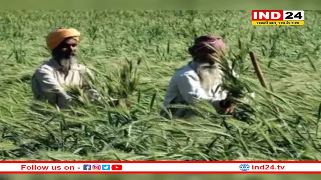 पिछले 33 साल का टूटा रिकॉर्ड! इस बार प्रदेश में एक बार भी नहीं चली शीतलहर