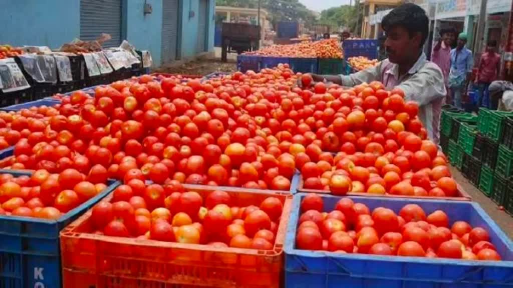 टमाटर की कीमतों में लगी आग, राजधानी में प्रति किलो 150 रुपए के पार