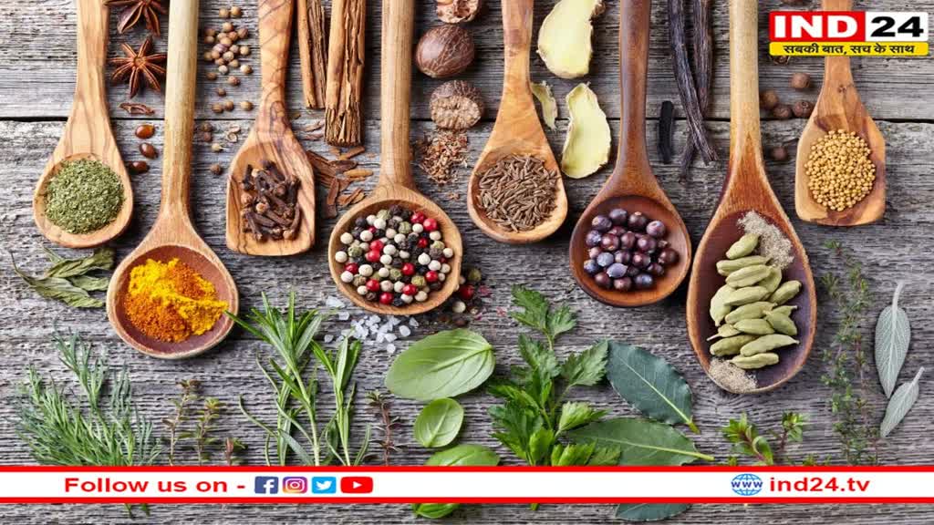 Summer Spices Benefits: गर्मियों में शरीर को रखना चाहते हैं ठंडा, तो जरूर करें इन 5 मसालों का सेवन