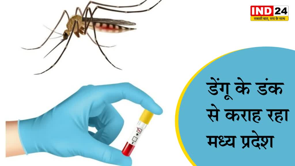डेंगू के डंक से कराह रहा मध्य प्रदेश, राज्य में मरीजों की संख्या 1500 के पार