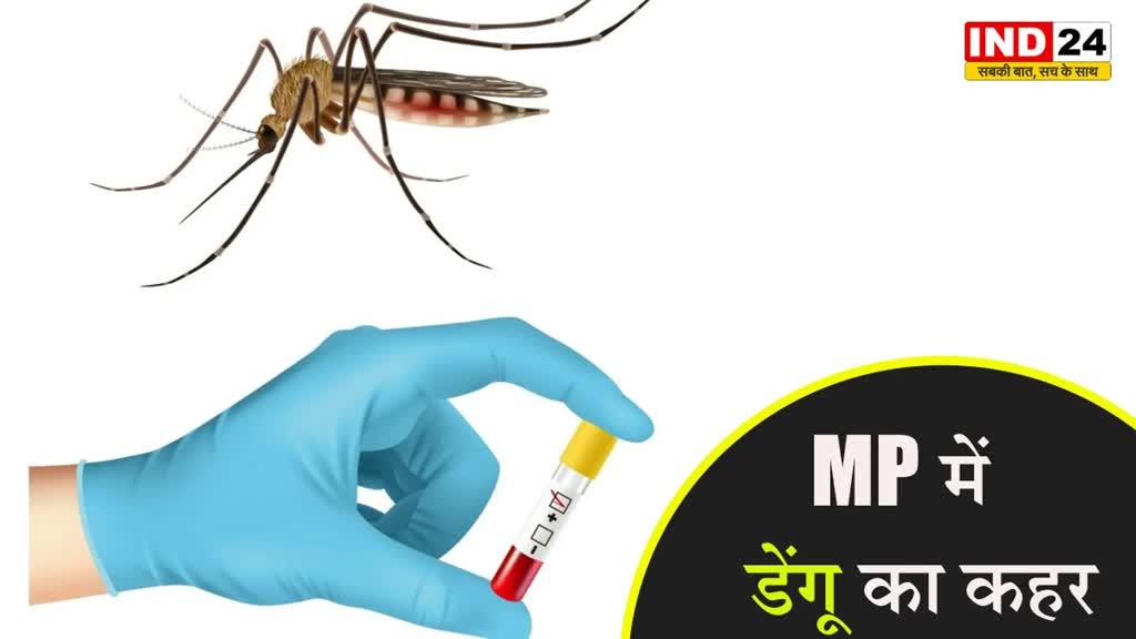 MP में लगातार पैर पसार रहा डेंगू, इंदौर और ग्वालियर में सबसे ज्यादा मरीज
