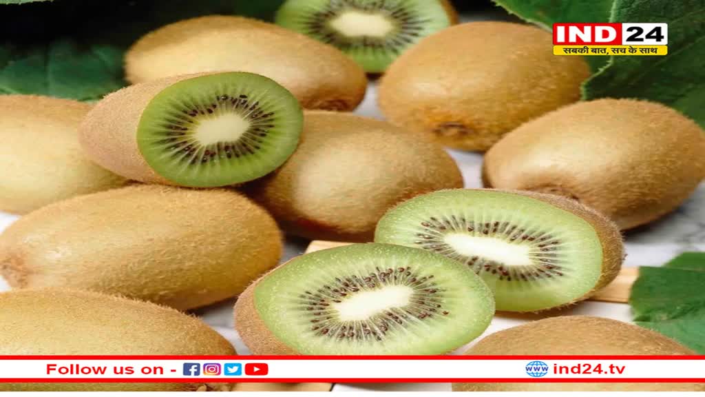 सुबह उठते ही खा लें कीवी: बैक्टीरिया और वायरस नहीं कर पाएंगे शरीर पर हमला