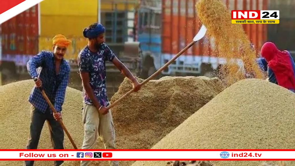 किसानों के लिए जरूरी खबर,1 दिसंबर से धान खरीदी 