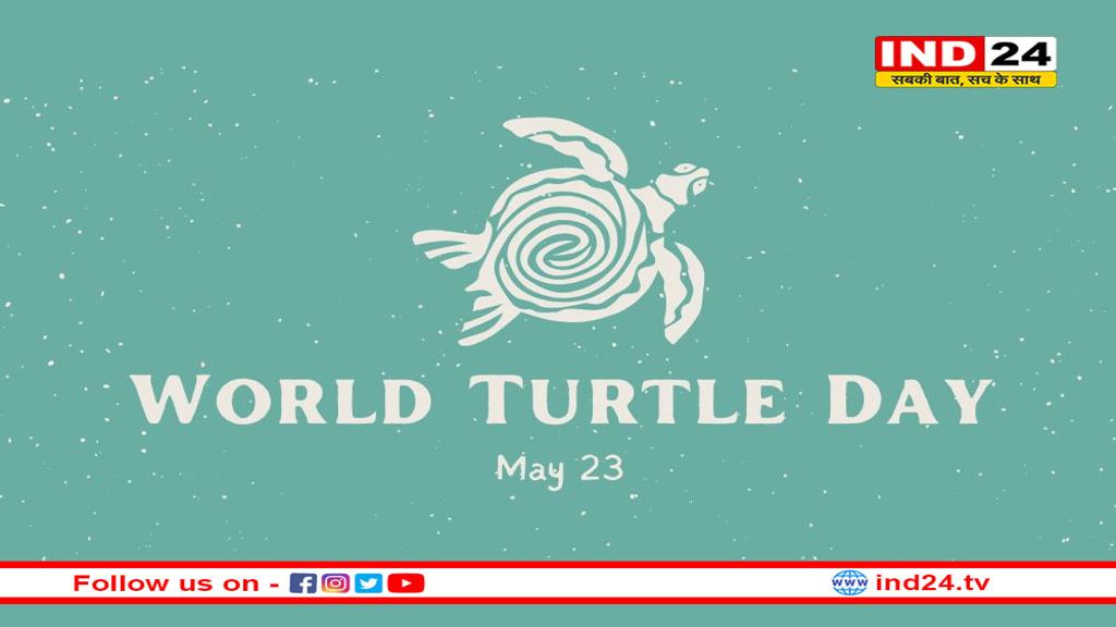 विश्व कछुआ दिवस: सौभाग्य, समृद्धि का प्रतीक कछुआ लक्ष्मी जी को करता है आमंत्रित