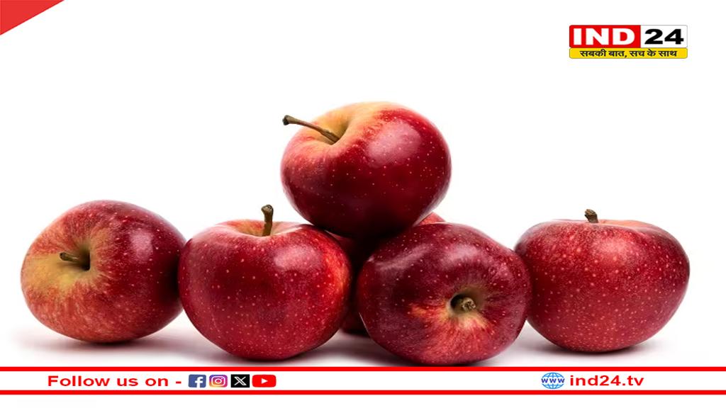 ज्योतिर्मठ में काश्तकारों के सेब बागानों को मिली संजीवनी, हिमपात से पौधों की उम्र बढ़ेगी