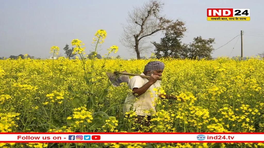 किसानों के लिए खुशखबरी: इस दिन आएगी पीएम किसान सम्मान निधि की 20वीं किस्त