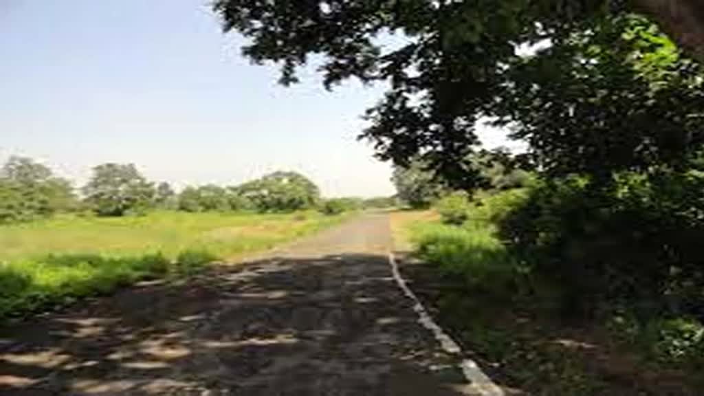 रातापानी अभयारण्य में आज से शुरु होगी जंगल सफारी, जानें डिटेल्स