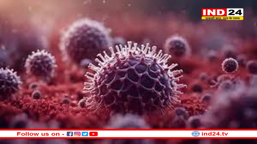 केरल में बढ़ रहा Nipah Virus का प्रकोप, शैक्षणिक संस्थान 24 सितंबर तक बंद, सुरक्षित रहने के लिए अपनाए ये तरीके 