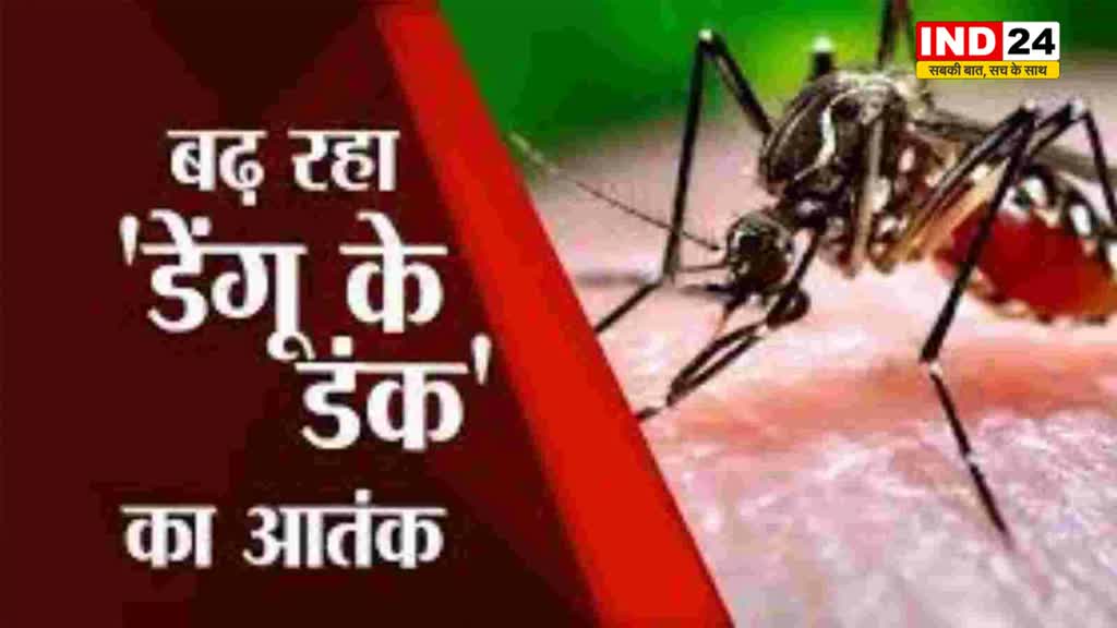  भोपाल में डेंगू का प्रकोप बढ़ : मरीजों की संख्या 600 के पार