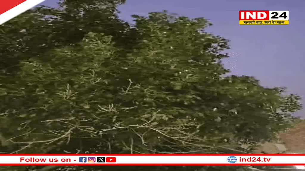 Rajasthan Weather Update: प्रदेश में बिजली गिरने से 2 की मौत, आज इन जिलों में भारी बारिश की चेतावनी