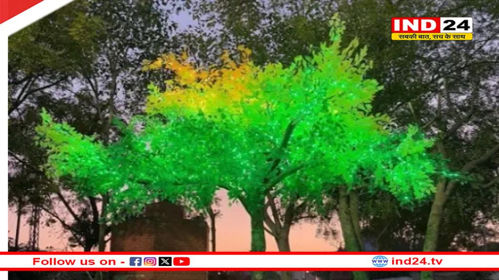 फॉरेस्ट विभाग नगरपालिका की लापरवाही, हरे पेड़ों पर लगाई एलईडी लाइट