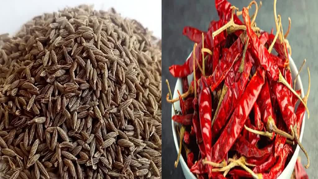 महंगाई का 'तड़का' : जीरे की कीमत आसमान पार, लाल मिर्च ने दिखाए तेवर...