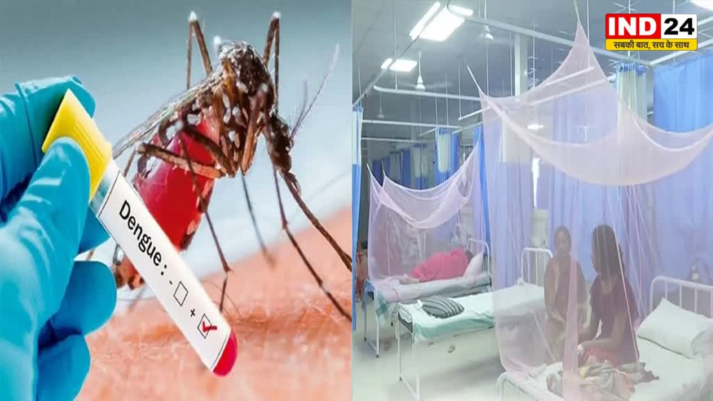  BIHAR NEWS: पटना में डेंगू का डंक जारी, अस्पतालों में डेंगू रोगियों के लिए बनाए गए अलग से वार्ड 