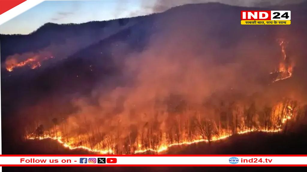अमेरिका में जंगल की आग ने मचाई तबाही, आपातकाल की घोषणा