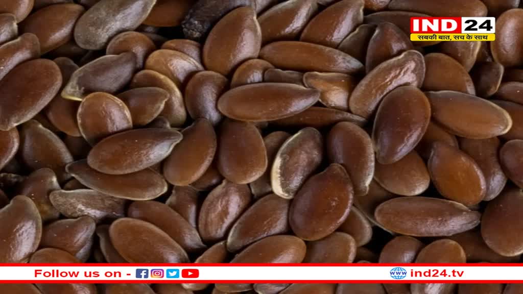 कोलेस्ट्रॉल का सबसे बड़ा दुश्मन हैं अलसी के बीज, रोज खाने से नहीं रहेगा हार्ट अटैक का खतरा