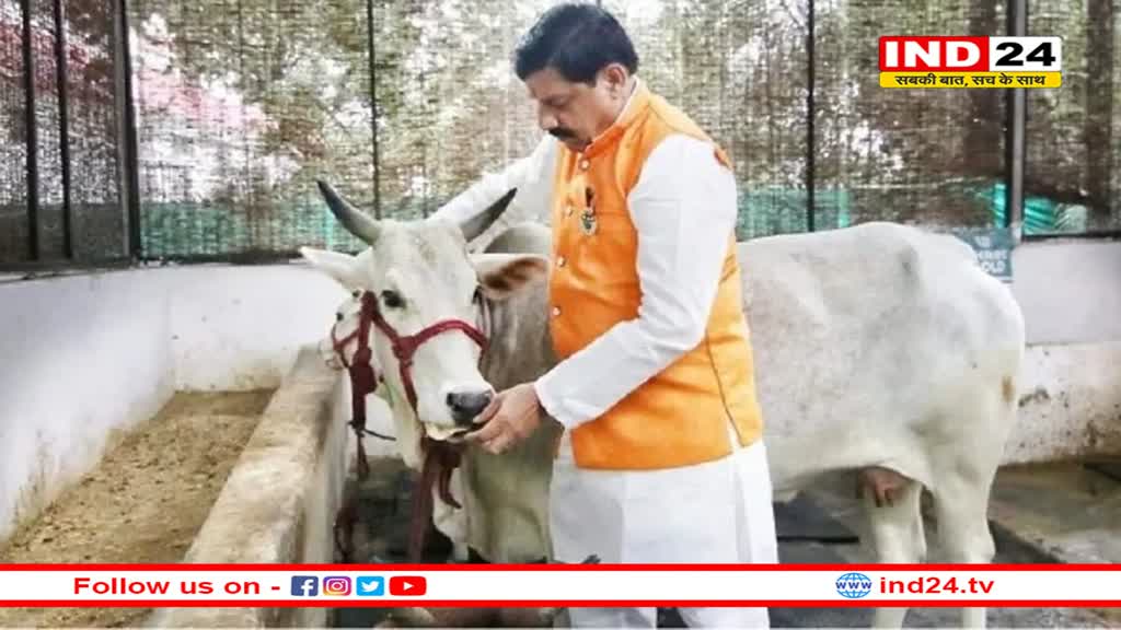 मोहन सरकार ने गौशालाओं के लिए अनुदान बढ़ाया