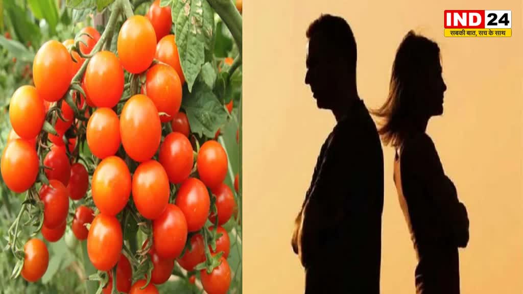 MP NEWS : सब्जी में डाल दिए टमाटर तो पत्‍नी गुस्सा होकर चली गई मायके 