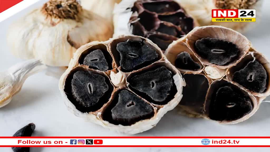 Health Tips: क्या होता है काला लहसुन? सेहत के लिए है बेहद फायदेमंद 