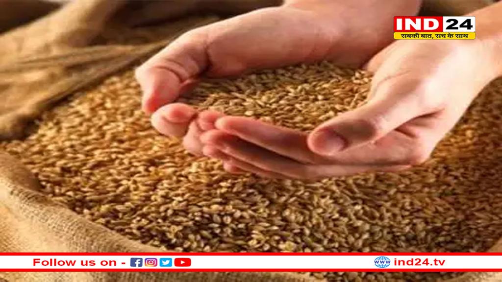MP में गेहूं की कीमत पर सीएम का बड़ा ऐलान, किसानों को सरकार की सौगात