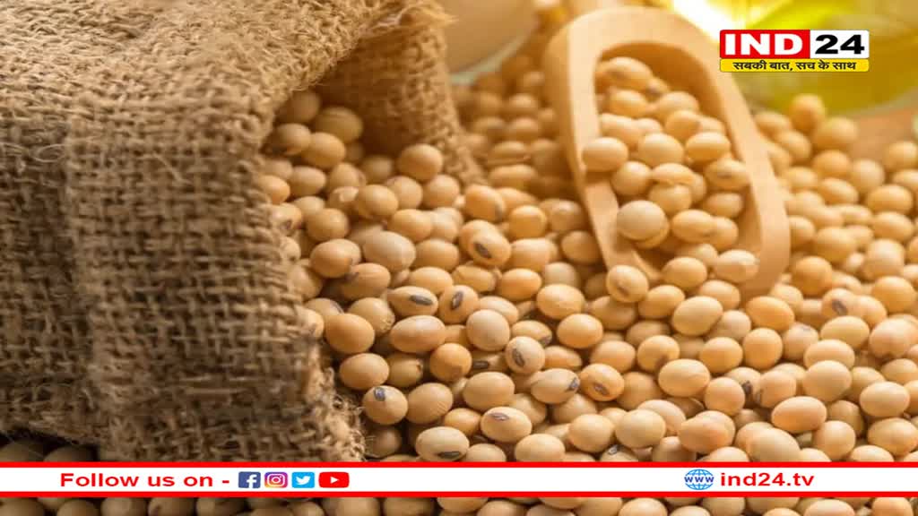 कंपनियों के नाम पर बाजार में बेचा जा रहा अप्रमाणित बीज, दाम भी मनमाने, नहीं की जा रही जांच