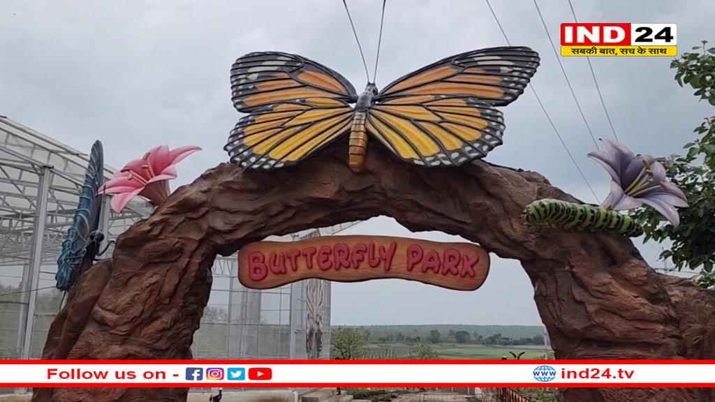 मध्यप्रदेश में बटरफ्लाई पार्क: प्रकृति संरक्षण की एक उड़ती पहल