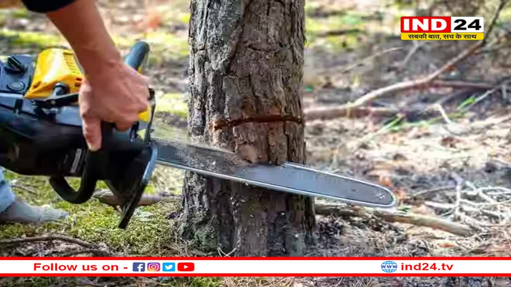 मंत्री और विधायक बंगलों के लिए 29 हजार पेड़ काटने के प्रस्ताव पर कांग्रेस हुई हमलावर