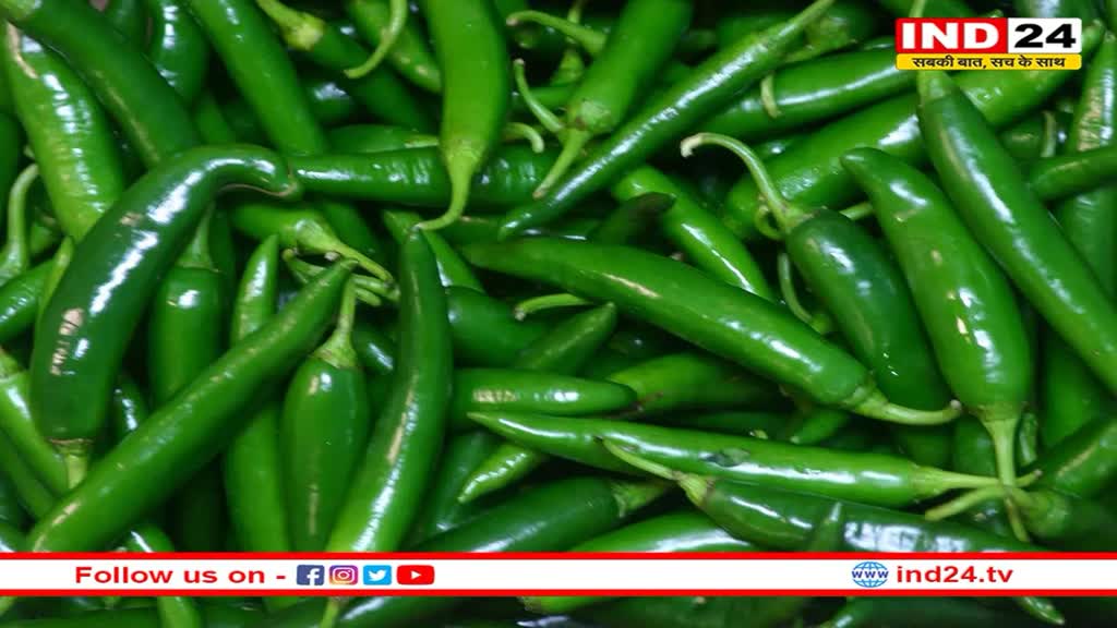 Green Chilli Benefits: बेहद गुणकारी होती है तीखी हरी मिर्च, जानें इसके कुछ हैरान कर देने वाले फायदे 