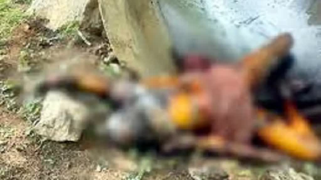 CG NEWS :अर्धनग्न हालत में मिली अज्ञात महिला की लाश, Rape के बाद हत्या की आशंका