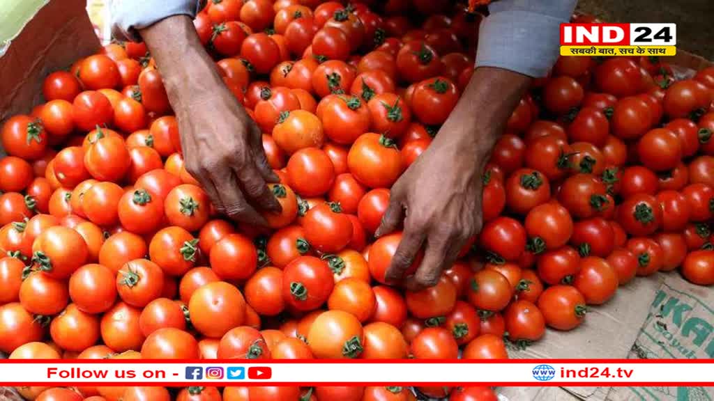 MP News: टमाटर बना कलह की वजह, पति बोला- 'शपथ लेता हूं, सब्जी में टमाटर बिना पूछे नहीं डालूंगा',