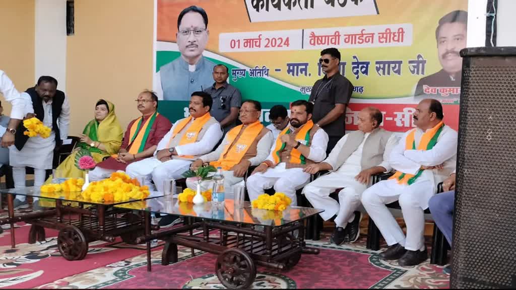 CG NEWS : संकल्प पत्र को लेकर भाजपा की PC... CM विष्णु देव साय ने कहा- संविधान के तरह पवित्र है हमारी पार्टी का विजन