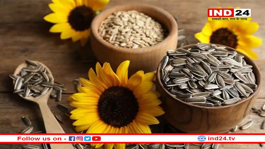 इस पीले फूल के बीज में छिपा है सेहत का खजाना, शरीर को मिलेंगे कमाल के फायदे
